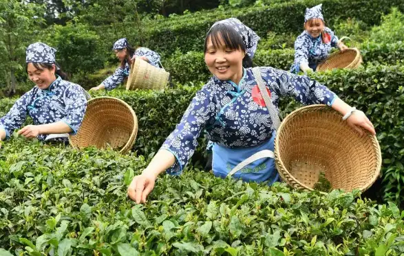 真诚约会第一次见面选什么餐厅？我劝你别再踩坑了😤