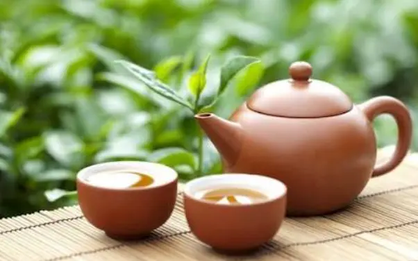 上海梧桐区漫步哪家花店值得逛？买花与拍照路线